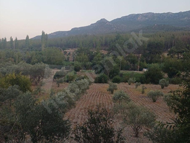 🌿 ÇELEBİ GAYRİMENKULDEN 🌿   📍 Karaman Bucakkışla Köyünde   💧 Göksu’ya Çok Yakın Konumda 652 m²