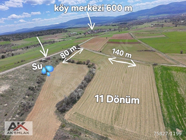 AK EMLAKTAN DADAY BUDAKLIDA 11 DÖNÜM SULU TARIM ARAZİSİ - Görsel 2