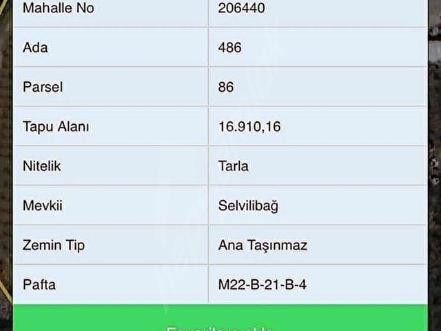 TARIMDA GÜVENLİ YATIRIM YETİŞKİN CENNET ELMASI BAHÇESİ - Görsel 3