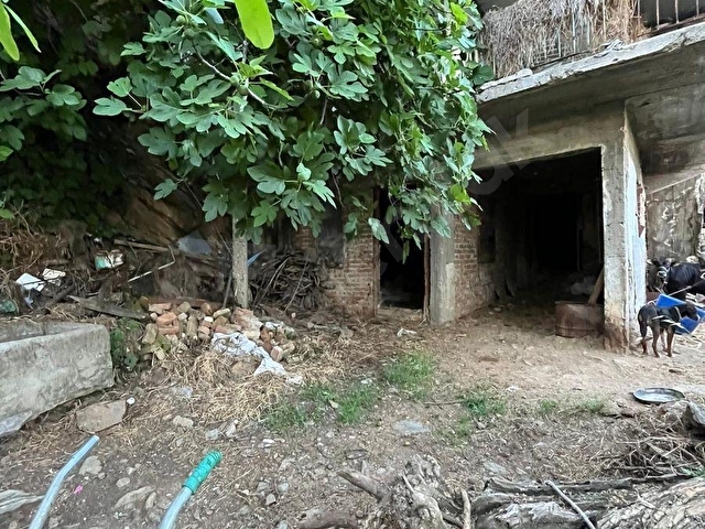 AYDIN NAZİLLİ SAMAİLLİ MAHALLESİNDE SATILIK KÂRGİR EV VE ARAZİ - Görsel 23
