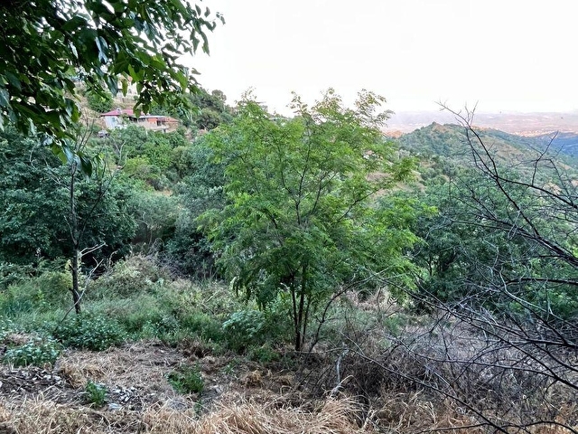AYDIN NAZİLLİ SAMAİLLİ MAHALLESİNDE SATILIK KÂRGİR EV VE ARAZİ - Görsel 24