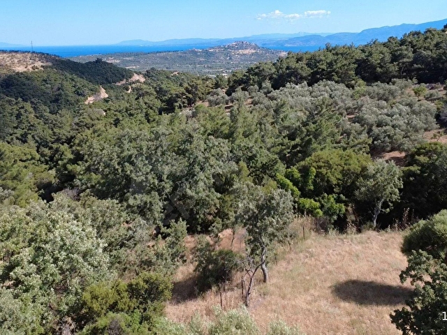 Ayvacık Paşaköy de Deniz Manzaralı Köy İçi İmarlı Arazi - Görsel 3