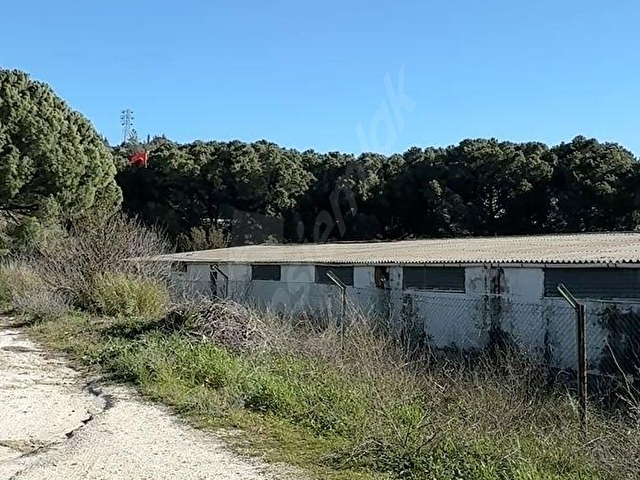 Çanakkale de Satılık İskele ve Plajı Olan İşletme ve Arsası - Görsel 20