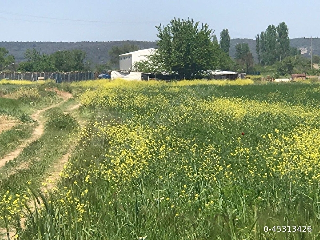 Sahibinden Çanakkale ili Eceabat ilçesi Kumköyde satılık arsa - Görsel 5