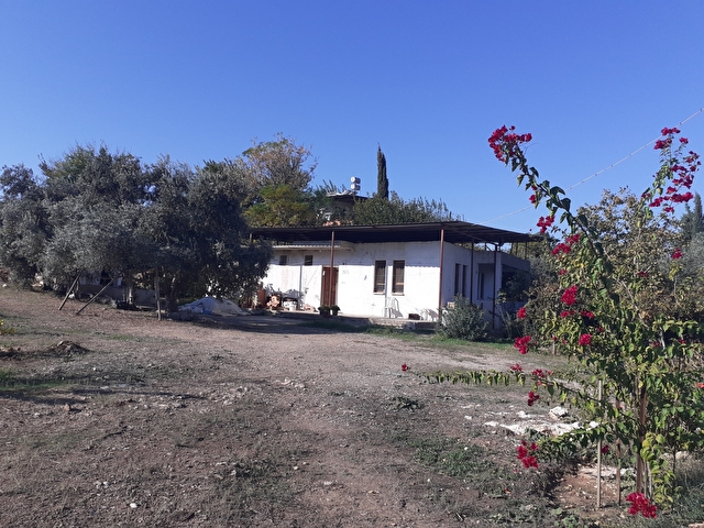 Ermenek Mahallesi 2b Evrakli Satilik 1 900 M2 Tarla Mustakil Ev 104589 181 Hurriyet Emlak
