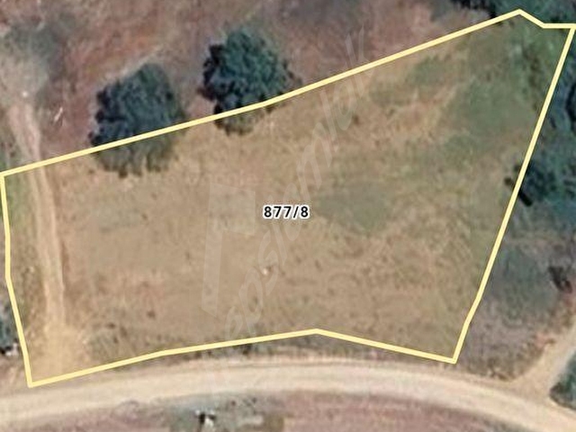 BURSA KESTEL GÖLBAŞI 2645 M2 SATILIK BAHÇE - Görsel 13