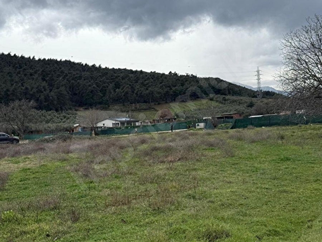 BURSA KESTEL GÖLBAŞI 2645 M2 SATILIK BAHÇE - Görsel 2