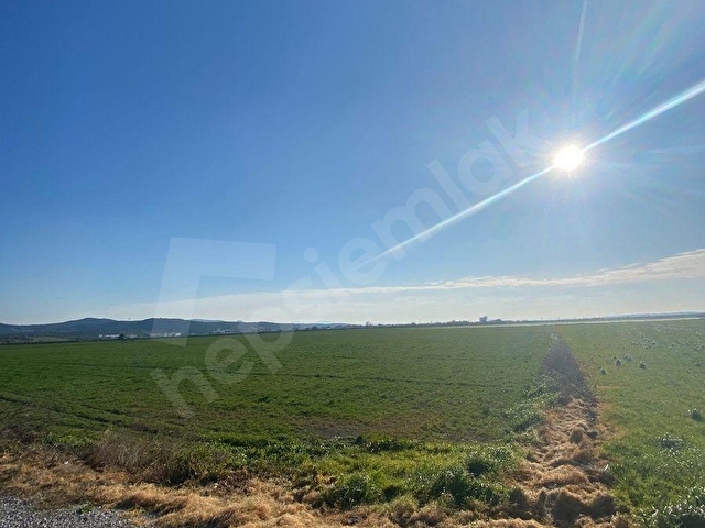 İZMİR BERGAMA’DA SATILIK ARAZİ - Görsel 13