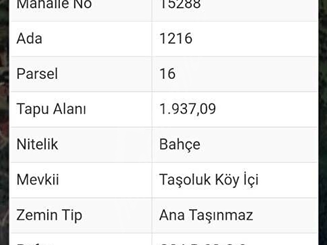 SAHİBİNDEN KAYNARCA , TAŞOLUK KÖYÜNDE ,  KÖY İÇİ YÜZDE 40 İMARLI 1937m2 ARSA - Görsel 2