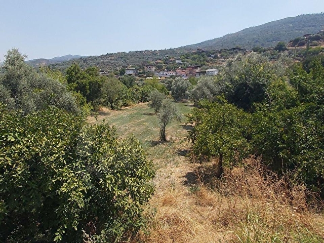Aydın Bozdoğanda 1.500m² 3 Kat Konut İmarı Kat Karşılığı Arsa - Görsel 8