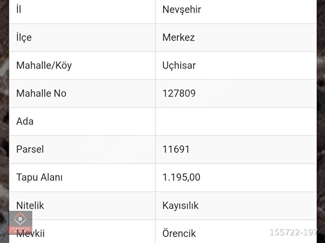 SERTOĞLU EMLAKTAN UÇHİSARDA SATILIK 1.195 m2 KAYISILIK - Görsel 2