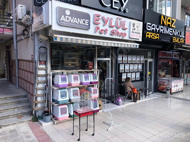 20 Senedir Faal Durumda Cadde Üstünde Devren Kiralık Petshop