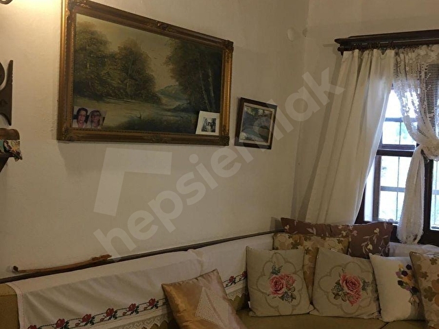ESKI RUM KÖYÜNDE TEK TAPUDA BAKIMLI 2 TAŞ EV - Görsel 28