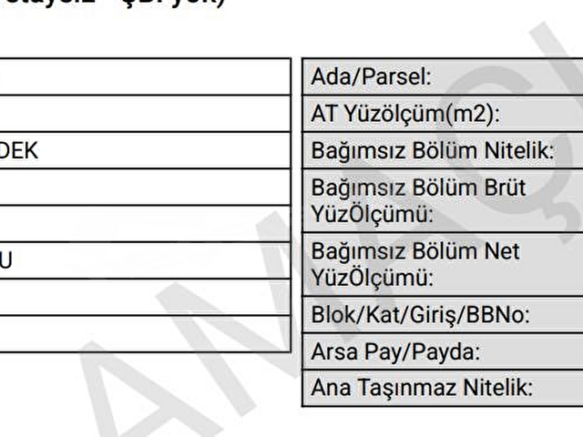 SATILIK TURANLARDA 1750 MT DENİZ DOĞA MANZARALI ZEYTİNLİK - Görsel 2
