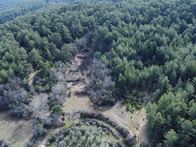 MUĞLA MENTEŞE KUYUCAK MH. 4579 m2 SATILIK TARLA - Görsel 12