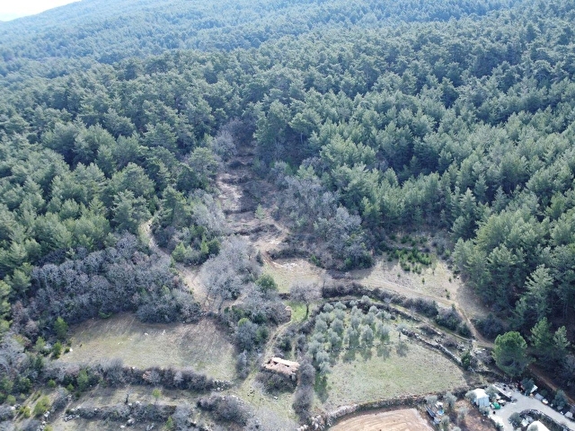 MUĞLA MENTEŞE KUYUCAK MH. 4579 m2 SATILIK TARLA - Görsel 3