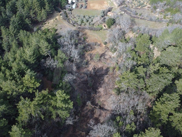 MUĞLA MENTEŞE KUYUCAK MH. 4579 m2 SATILIK TARLA - Görsel 10