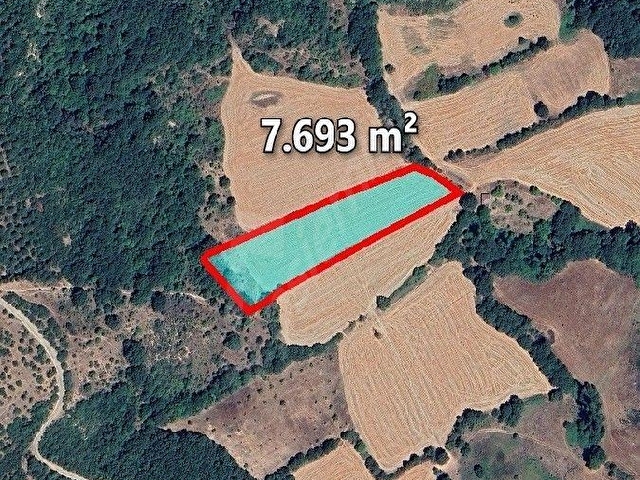 BALIKESİR SUSURLUK GÜNAYDIN KÖYÜ 7693 METRE KÖYE VE MERKEZE ÇOK YAKIN FIRSAT ARAZİ