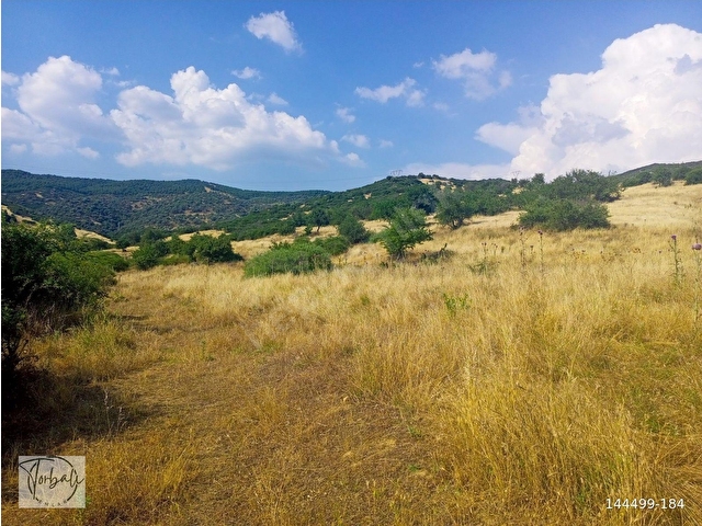 TİRE DEREBAŞINDA TEK TAPU MÜSTAKİL PARSEL 3761m2 ARAZİMİZ SATILIKTIR. - Görsel 9