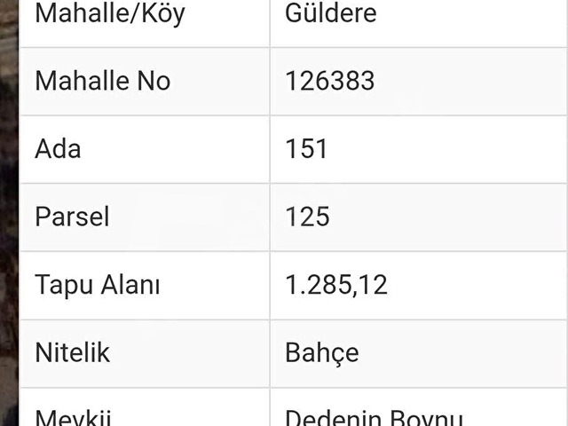 BİRSEKİZden GÜLDERE KÖYÜNDE (SAKLI CENNET) SATILIK BAHÇE - Görsel 7