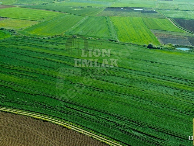 LION EMLAKTAN BANDIRMA KAYACIK MAHALLESİNDE 2.448 m² FIRSAT TARLA - Görsel 13