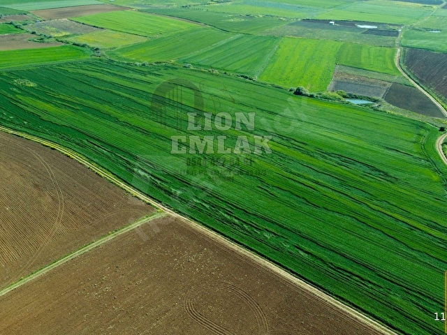 LION EMLAKTAN BANDIRMA KAYACIK MAHALLESİNDE 2.448 m² FIRSAT TARLA - Görsel 14