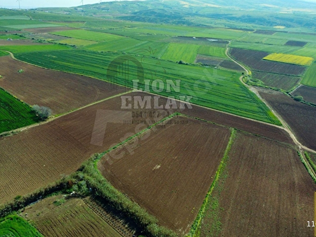 LION EMLAKTAN BANDIRMA KAYACIK MAHALLESİNDE 2.448 m² FIRSAT TARLA - Görsel 20