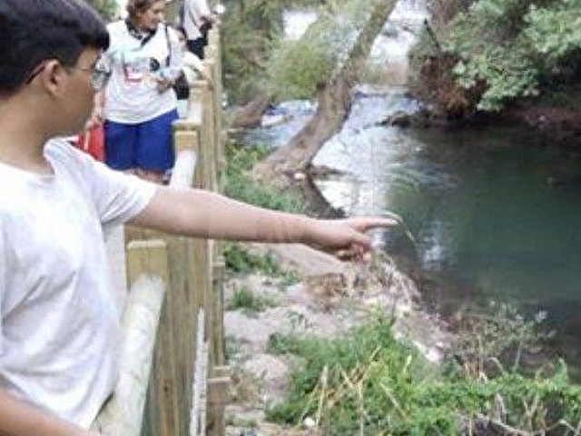 my EKİPden YAYLA VE DOĞA SEVERLERE BANAZ REŞADİYE YAYLASINDA YOLA CEPHE HARİKA MANZARALI ARAZİ..... - Görsel 24