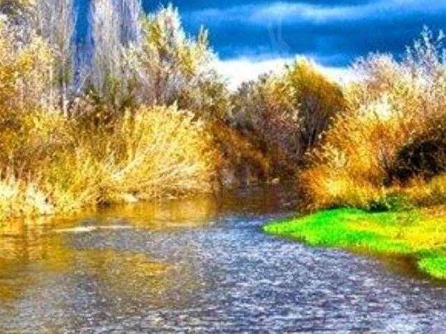 my EKİPden YAYLA VE DOĞA SEVERLERE BANAZ REŞADİYE YAYLASINDA YOLA CEPHE HARİKA MANZARALI ARAZİ..... - Görsel 26