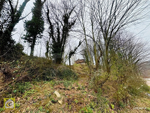 Maşukiye Dağaltında Yatırımlık / Projelik 6.680 m² İmarlı Arsa - Görsel 12