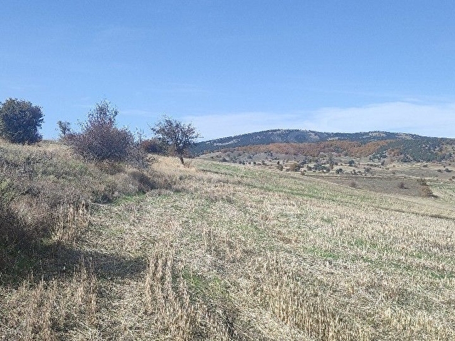 ERŞEN GAYRİMENKUL den  Mithatpaşa mah resmi yol kenarında köye yakın yatırımlık tarla - Görsel 6