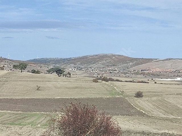 ERŞEN GAYRİMENKUL den  Mithatpaşa mah resmi yol kenarında köye yakın yatırımlık tarla