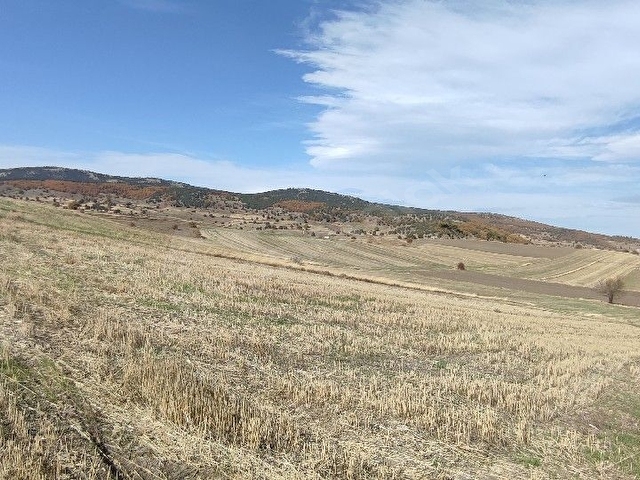 ERŞEN GAYRİMENKUL den  Mithatpaşa mah resmi yol kenarında köye yakın yatırımlık tarla - Görsel 13