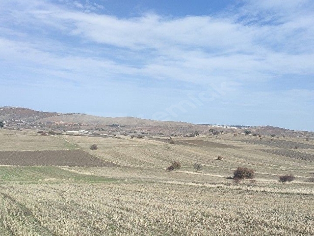 ERŞEN GAYRİMENKUL den  Mithatpaşa mah resmi yol kenarında köye yakın yatırımlık tarla - Görsel 19