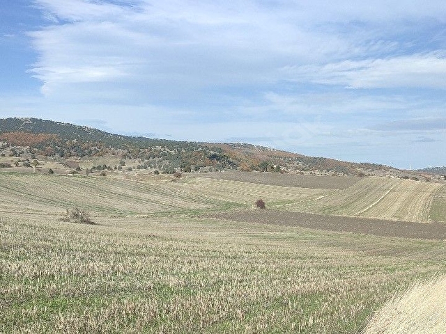 ERŞEN GAYRİMENKUL den  Mithatpaşa mah resmi yol kenarında köye yakın yatırımlık tarla - Görsel 26