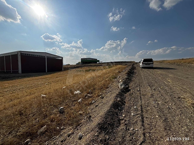 SARAYDA SATILIK 890m2 HARFİYATSIZ ARSA - Görsel 5