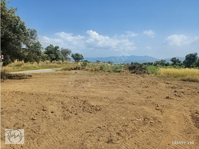 BAYINDIR YEŞİLOVADA 1107m2 TEK TAPU, ASFALT YOL CEPHELİ, ELEKTRİK, SU YAKIN ZEYTİNLİK SATILIKTIR - Görsel 7