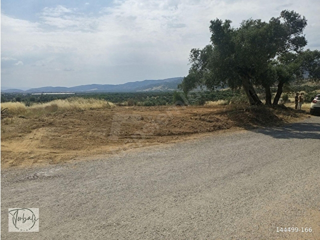 BAYINDIR YEŞİLOVADA 1107m2 TEK TAPU, ASFALT YOL CEPHELİ, ELEKTRİK, SU YAKIN ZEYTİNLİK SATILIKTIR - Görsel 17