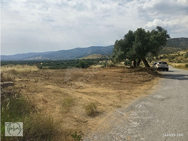 BAYINDIR YEŞİLOVADA 1107m2 TEK TAPU, ASFALT YOL CEPHELİ, ELEKTRİK, SU YAKIN ZEYTİNLİK SATILIKTIR - Görsel 16