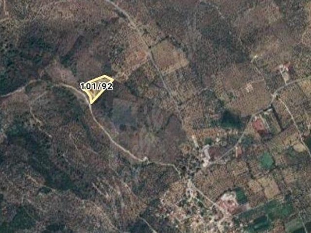 TURYAPTAN MUĞLA MİLASTA 8 DÖNÜM ZEYTİNLİK YILIN FIRSATI - Görsel 6