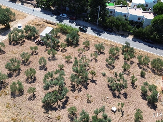Tavaklı iskelesinde 1702 m2 %20 imarlı denize 50 m dev arsa - Görsel 3