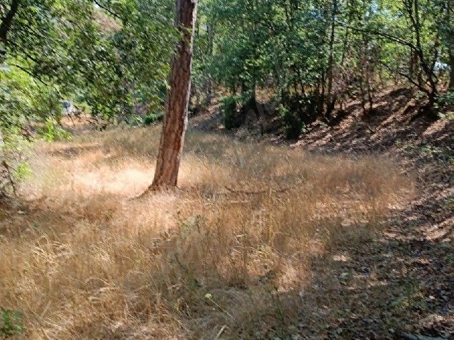 sahibinden köye yakın tarla - Görsel 7
