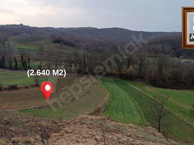 Kandıra Ağaçağılda 2.640 M2 Fırsat Yatırımlık Tarla - Görsel 3