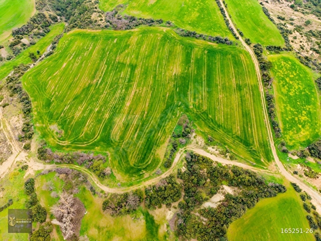 ŞAHİNLER EMLAKTAN DEĞİRMENDÜZÜNDE 20.482 M2 SATILIK ARAZİ - Görsel 7