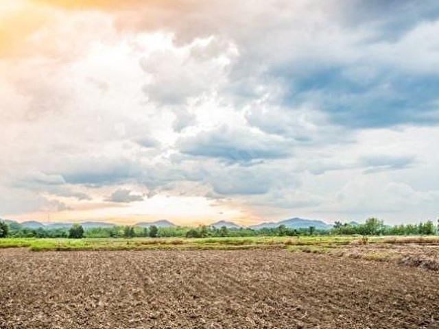 es.y söğütönü emlaktan y.söğütönü mh de 4150m2 satılık tarla