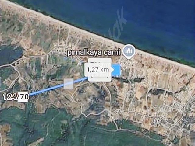 PUSULA GAYRİMENKULDEN MUDANYA MESUDİYEDE SATILIK ZEYTİNLİK - Görsel 22