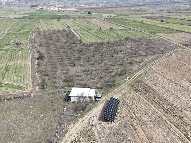 BAKLAN MERKEZDE 14.951M2 SATILIK YETİŞKİN BADEMLİK - Görsel 9