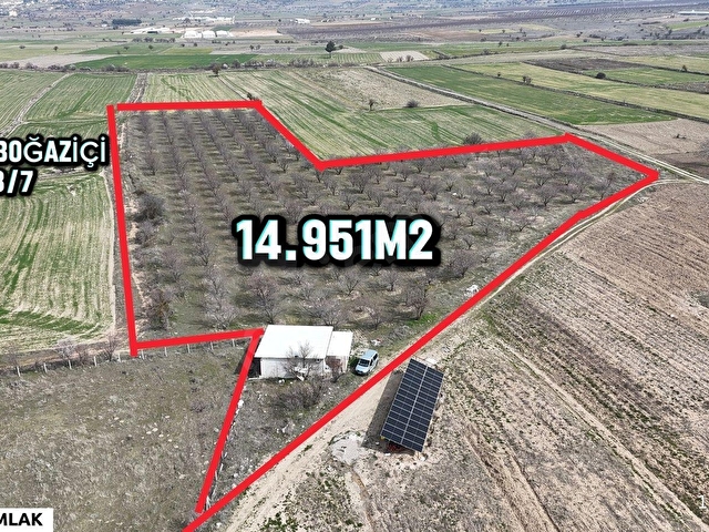 BAKLAN MERKEZDE 14.951M2 SATILIK YETİŞKİN BADEMLİK