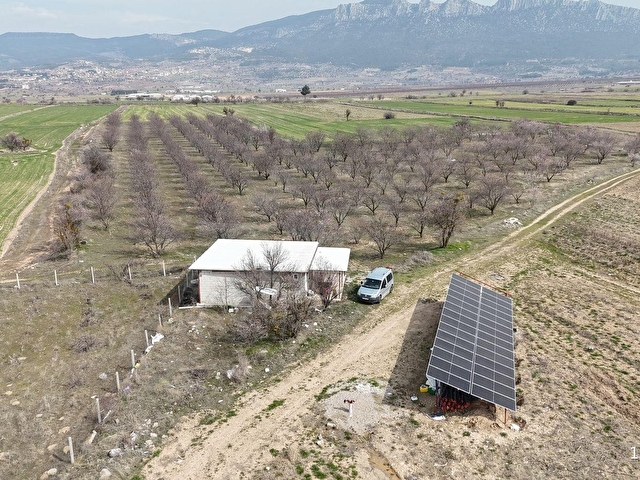 BAKLAN MERKEZDE 14.951M2 SATILIK YETİŞKİN BADEMLİK - Görsel 3
