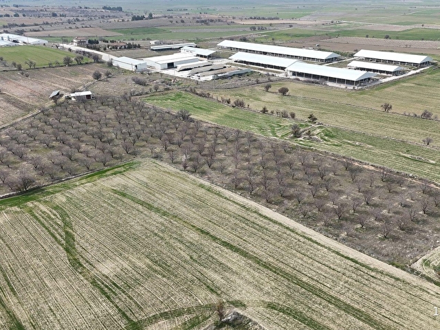 BAKLAN MERKEZDE 14.951M2 SATILIK YETİŞKİN BADEMLİK - Görsel 7